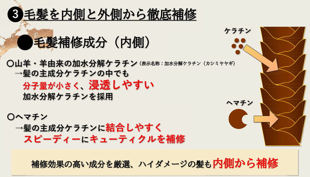 ☆ABITOKYOオリジナルシャンプー＆トリートメント　「en美」