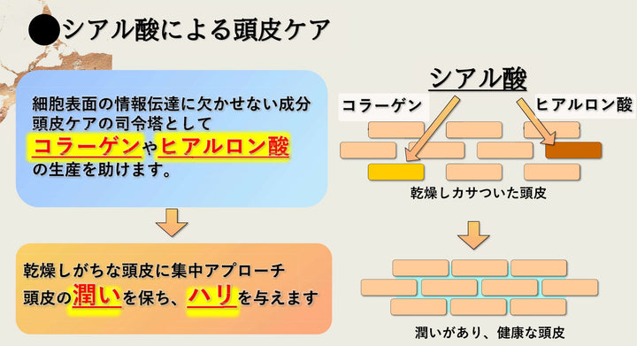 ☆ABITOKYOオリジナルシャンプー＆トリートメント　「en美」