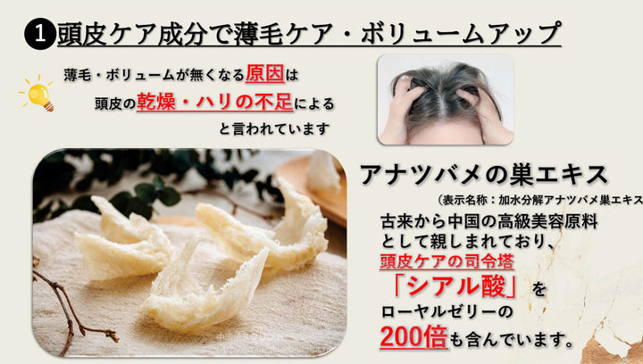 ☆ABITOKYOオリジナルシャンプー＆トリートメント　「en美」