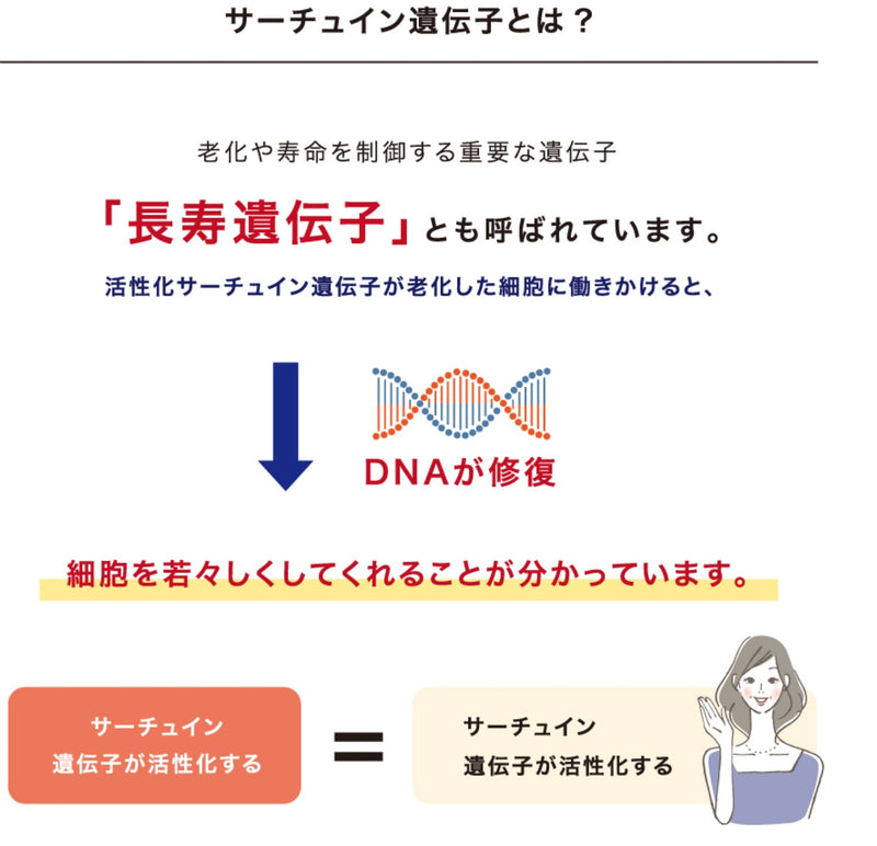 【本日限定】10%OFF  NMN QOL カプセル 　１瓶60粒