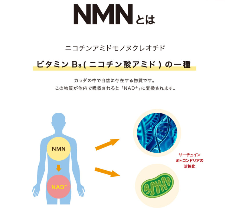 【本日限定】10%OFF  NMN QOL カプセル 　１瓶60粒
