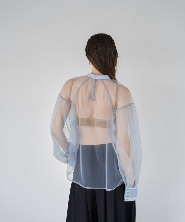 Tulle Over Blouse